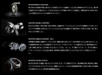 ダイワ　21アルファス SV TW