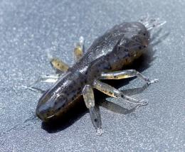 <!--{$arrProduct.name|h}-->