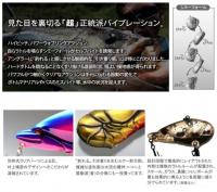 issei(一誠)　GCザリバイブ67