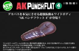 <!--{$arrProduct.name|h}-->