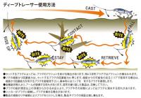 リューギ　ディープトレーサー　【Feco認定】