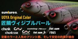 <!--{$arrProduct.name|h}-->