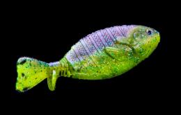 <!--{$arrProduct.name|h}-->