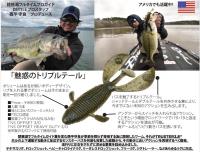 DSTYLE TRUSTER(トラスター)3.8”　【Feco認定】