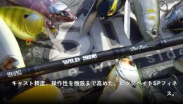 <!--{$arrProduct.name|h}-->