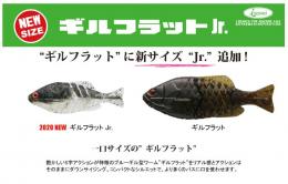 <!--{$arrProduct.name|h}-->