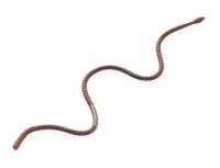 ティムコ　CTハッタクローラー