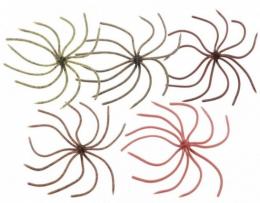 <!--{$arrProduct.name|h}-->