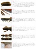 ボトムアップ　Bulls Hog (ブルスホッグ) 3inch