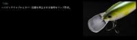 ノリーズ　マルノミフラット60　■お1人様、各カラー1ケ(合計2ケ)まで