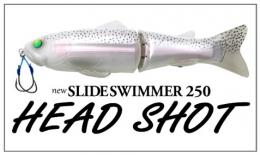 <!--{$arrProduct.name|h}-->