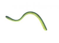 バークレー　マックスセント　ディワーム 5.5インチ　★メーカー価格より50%OFF!