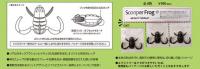 ボトムアップ　Scooper Frog (スクーパーフロッグ)