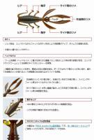 エバーグリーン　アントライオン2.7”　【Feco認定】