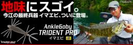 <!--{$arrProduct.name|h}-->