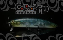 <!--{$arrProduct.name|h}-->