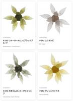 ハイドアップ　コイケ・フィッシュギル (S)　
