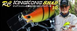 <!--{$arrProduct.name|h}-->