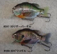 イマカツ　小南ギルウチワ　