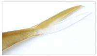 deps　フリルドシャッド <4.7インチ><5.7インチ>　【Feco認定】