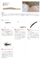 ボトムアップ　ハリーシュリンプ　3.0インチ