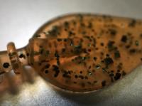 ロマンメイド　プロローグPZ6.5