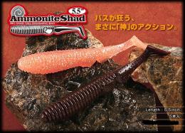 <!--{$arrProduct.name|h}-->