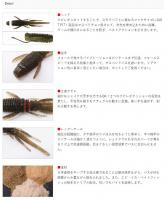 ボトムアップ　M.P.S 2.4　(エム・ピー・エス 2.4inch)