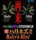 ティムコ　CTハリネズミ ECO <Baby><Mini>