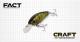 エバーグリーン　FACT　CRAFT(クラフト)