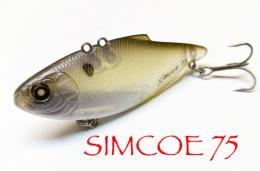 <!--{$arrProduct.name|h}-->