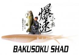 <!--{$arrProduct.name|h}-->