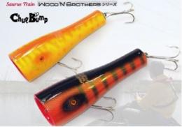 <!--{$arrProduct.name|h}-->