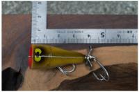 フロッグ　ブリックポップ