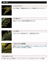 エバーグリーン　キッカーバグ 5.5”