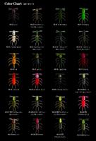 イマカツ　風神(フージン)スパイダー