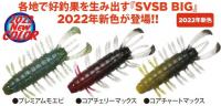 DSTYLE　SVSB BIG　(スーパーバイブシンキングバグ ビッグ)　【Feco認定】