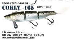 <!--{$arrProduct.name|h}-->