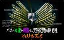 ティムコ　CTハリネズミ ECO