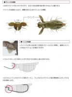 エバーグリーン　フラッターギズモ