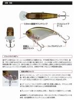 エバーグリーン　フラットフォース