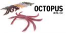 フィッシュマグネット　OCTOPUS (オクトパス)