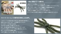 フィッシュマグネット　OCTOPUS (オクトパス)