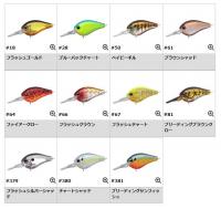 エバーグリーン　PICCOLO(ピッコロ)