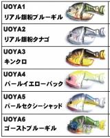 マニフォールド　カステラ―ノン (魚矢オリジナルカラー)