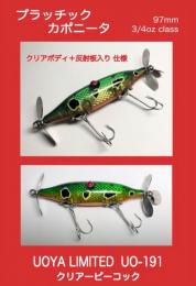 <!--{$arrProduct.name|h}-->