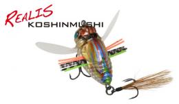 <!--{$arrProduct.name|h}-->