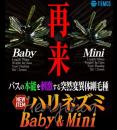 ティムコ　CTハリネズミ ECO <Baby><Mini>