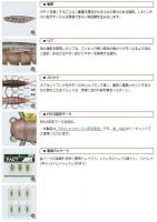 エバーグリーン　FACT Gezzy(ゲジー)　【Feco認定】