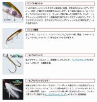 エバーグリーン　シャワーブローズ　ビッグママ